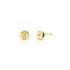Ladies' Earrings Michael Kors MKC1483AN710