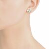 Ladies' Earrings Majorica 15725.01.2.000.010.1 - Image 4