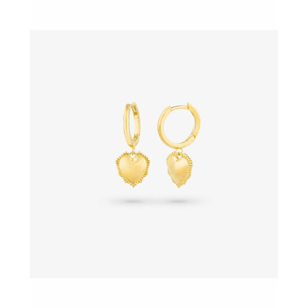Ladies' Earrings Radiant RY000056 Stainless steel 2,5 cm - Image 4