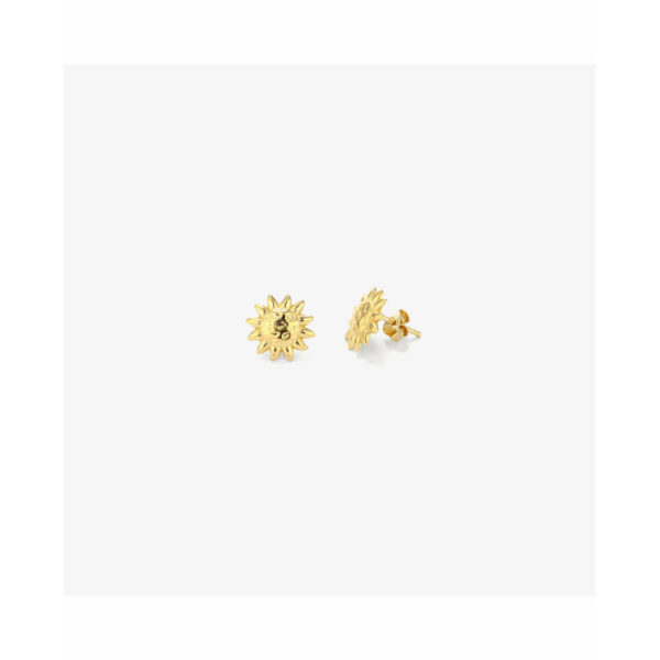 Ladies' Earrings Radiant RY000153 Stainless steel 1 cm - Image 3