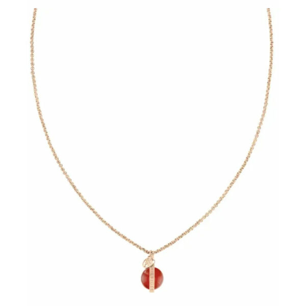 Ladies' Necklace Tommy Hilfiger 2780763 50 cm