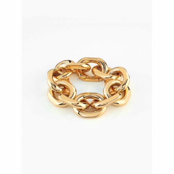 Ladies' Bracelet Guess JUBB02116JWYGS 20 cm - Image 2