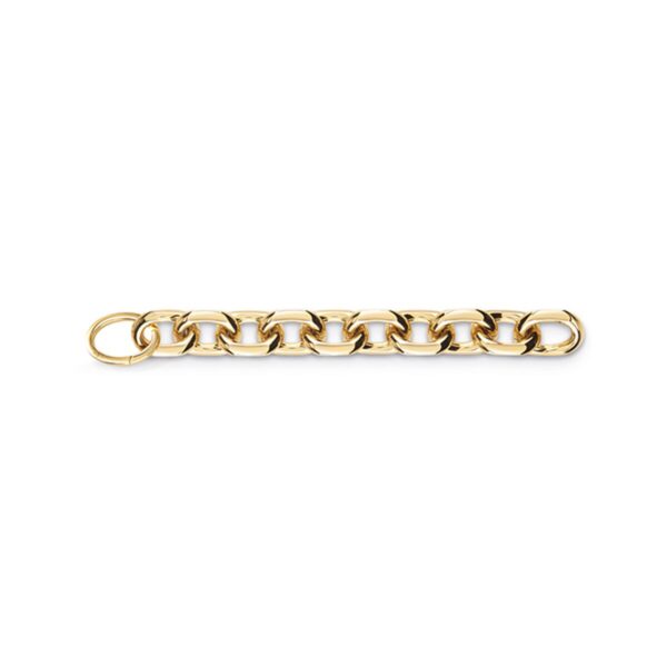 Ladies' Bracelet Guess JUBB02116JWYGS 20 cm - Image 3