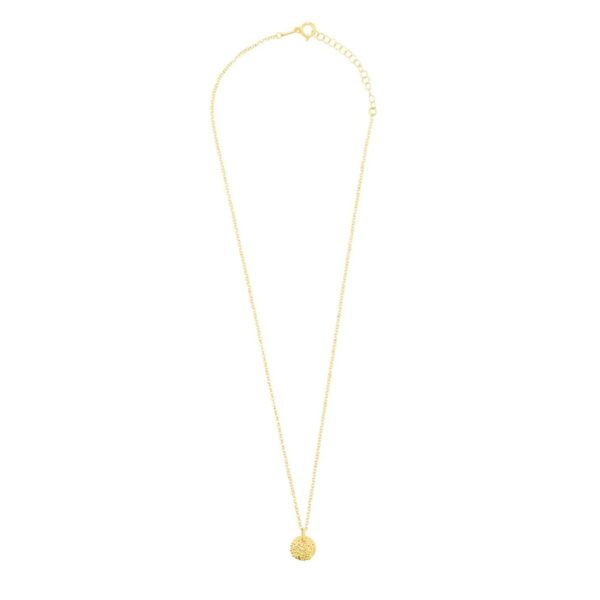 Necklace Radiant RY000028 50 cm - Image 2