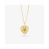 Ladies' Necklace Radiant RY000058 50 cm - Image 4